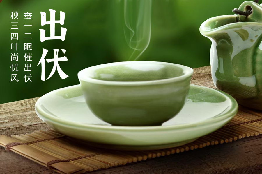 出伏暑去清风来，守一杯茶的闲逸，静享秋日清欢