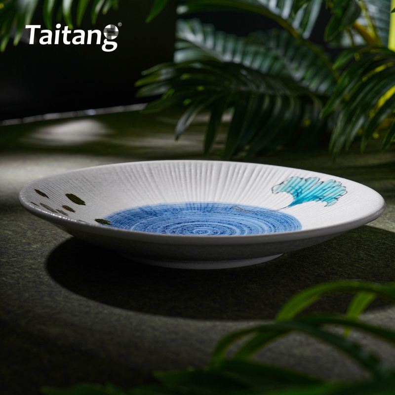 精致彩色釉面陶瓷浅盘